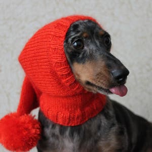 KNITTING PATTERN, Dog Hat, Dachshund Hat, Pet Clothes, Pet Hat, Wiener Dog, Dogs, Knitted Hat, Knit pet hat, Shibui Silk Cloud, Pom-pom image 2