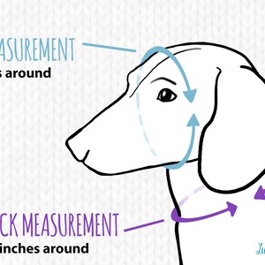 May include: Diagram showing how to measure a dog's face and neck for a knitted dog sweater. The face measurement is 10 inches around, and the neck measurement is 10 inches around.
