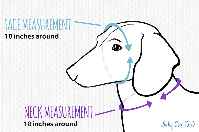 May include: Diagram showing how to measure a dog's face and neck for a knitted dog sweater. The face measurement is 10 inches around, and the neck measurement is 10 inches around.