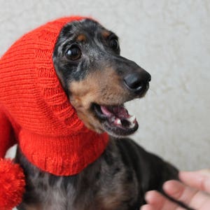 KNITTING PATTERN, Dog Hat, Dachshund Hat, Pet Clothes, Pet Hat, Wiener Dog, Dogs, Knitted Hat, Knit pet hat, Shibui Silk Cloud, Pom-pom image 9