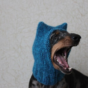 Small Dog Hat in Blue Kitty Cat Style for Mini Dachshund image 5