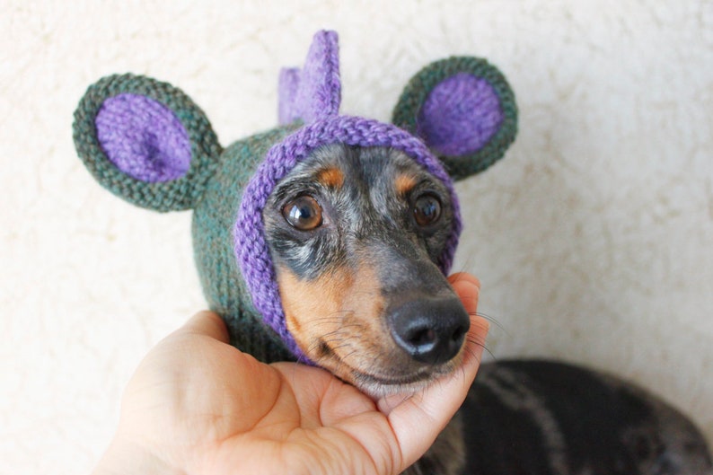 KNITTING PATTERN, Doxie Dinosaur Hat, Dog Hat, Small Dog Hat, Snood, Mini Dachshund Hat, Dino Hat, Dog Costume, Knitted Hat, Knit Pet Hat image 4