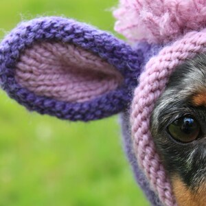 KNITTING PATTERN, Dachshund Unicorn Hood, dog hat, dogs, pet, pet costume, pets, doxie, mini, dachshund, unicorn, hat, dog clothes, dog image 4