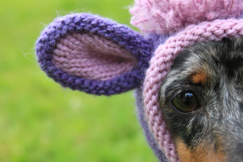 KNITTING PATTERN, Dachshund Unicorn Hood, dog hat, dogs, pet, pet costume, pets, doxie, mini, dachshund, unicorn, hat, dog clothes, dog image 4