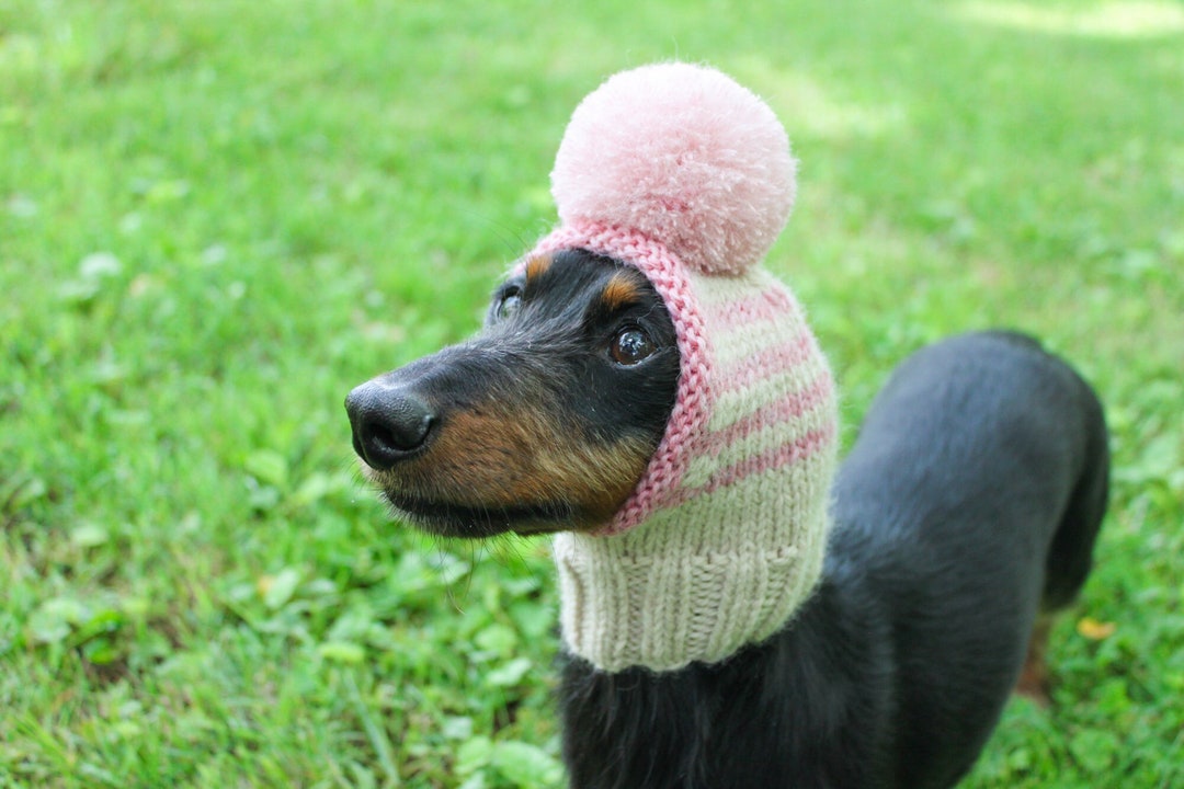 Green dog on sale hat