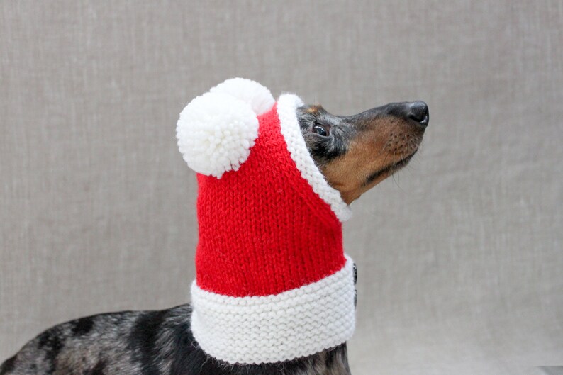 Santa Dog Hat, Dog Santa, Mini Dachshund Santa Hat, Red And White Dog Hat, Dog Gift, Dog Fashion, Dachshund Clothes, Small Dog Beanie image 8