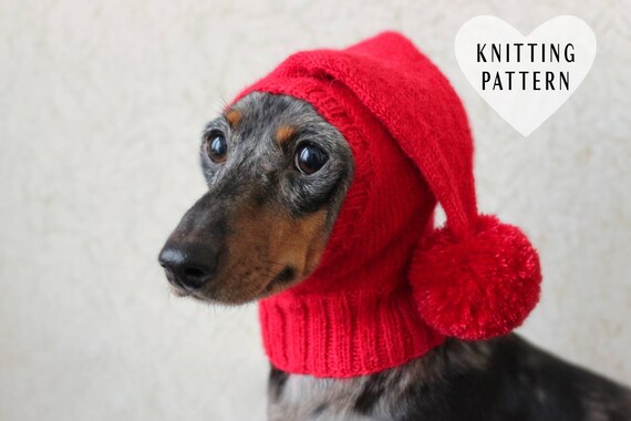 Knitting Pattern Small Dog Hat Dachshund Hat Mini Dachshund Hat Wiener Dog Hat Pet Hat Dog Clothes Knitted Little Dog Hat Knit Hat