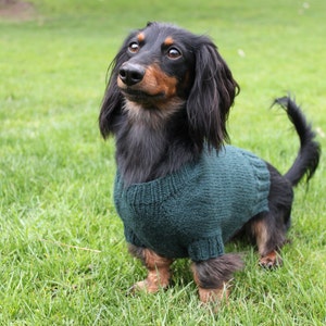 KNITTING PATTERN, Mini Dachshund, Dog Sweater, Cloud 9, pet clothes, pets, dogs, knit, knitted, DIY project, doxie, wiener dog, little dog image 4