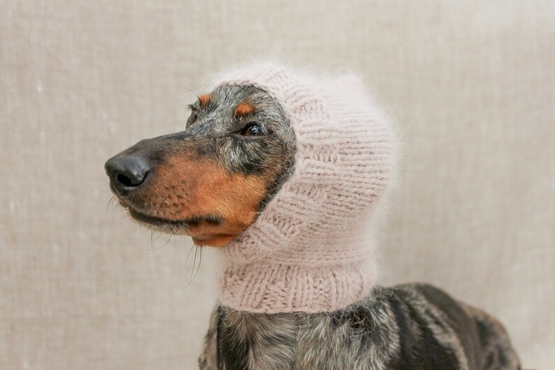 Angora Dackel Hund Hut rosa Hund Hut Baby rosa Angora Hund Etsy