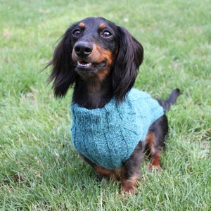 KNITTING PATTERN, Top-Down, Mini Dachshund, Dog Sweater, pet clothes, dogs, little dog, DIY project, knit, knitted, doxie, wiener dog, pets image 6