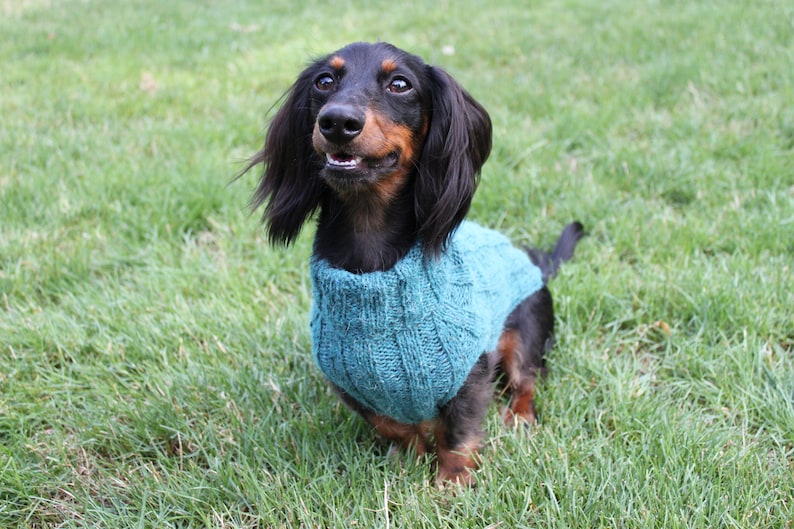 KNITTING PATTERN, Top-Down, Mini Dachshund, Dog Sweater, pet clothes, dogs, little dog, DIY project, knit, knitted, doxie, wiener dog, pets image 6