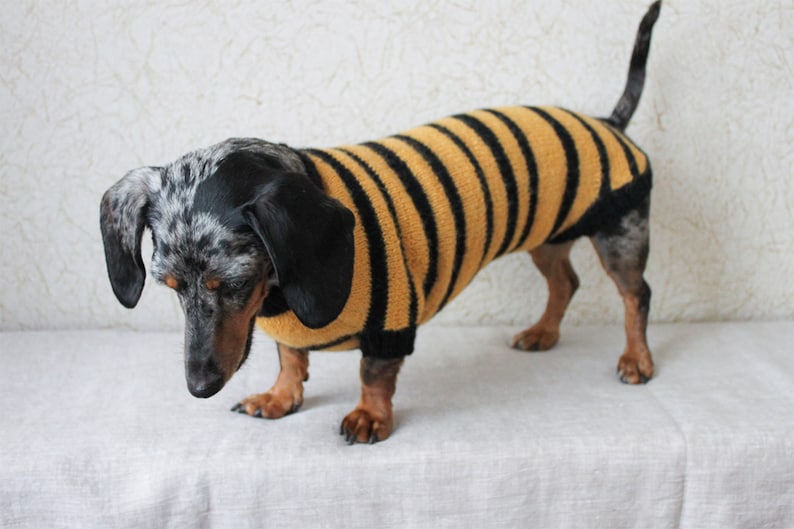 Bee Sweater Dog Lover Gift Dog Owner Gift Dog Clothes KNITTING PATTERN Dog Bee Sweater Dogs Pet Gift Dachshund Costume Dog Costume