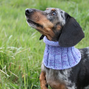 Small Dog Cowl 100% Natural Wool Purple Neck Warmer image 4