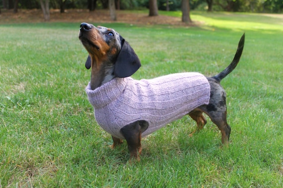 dachshund sweater for dog dachshund sweater for dog
