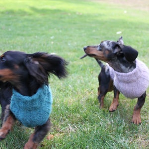 KNITTING PATTERN, Top-Down, Mini Dachshund, Dog Sweater, pet clothes, dogs, little dog, DIY project, knit, knitted, doxie, wiener dog, pets image 9