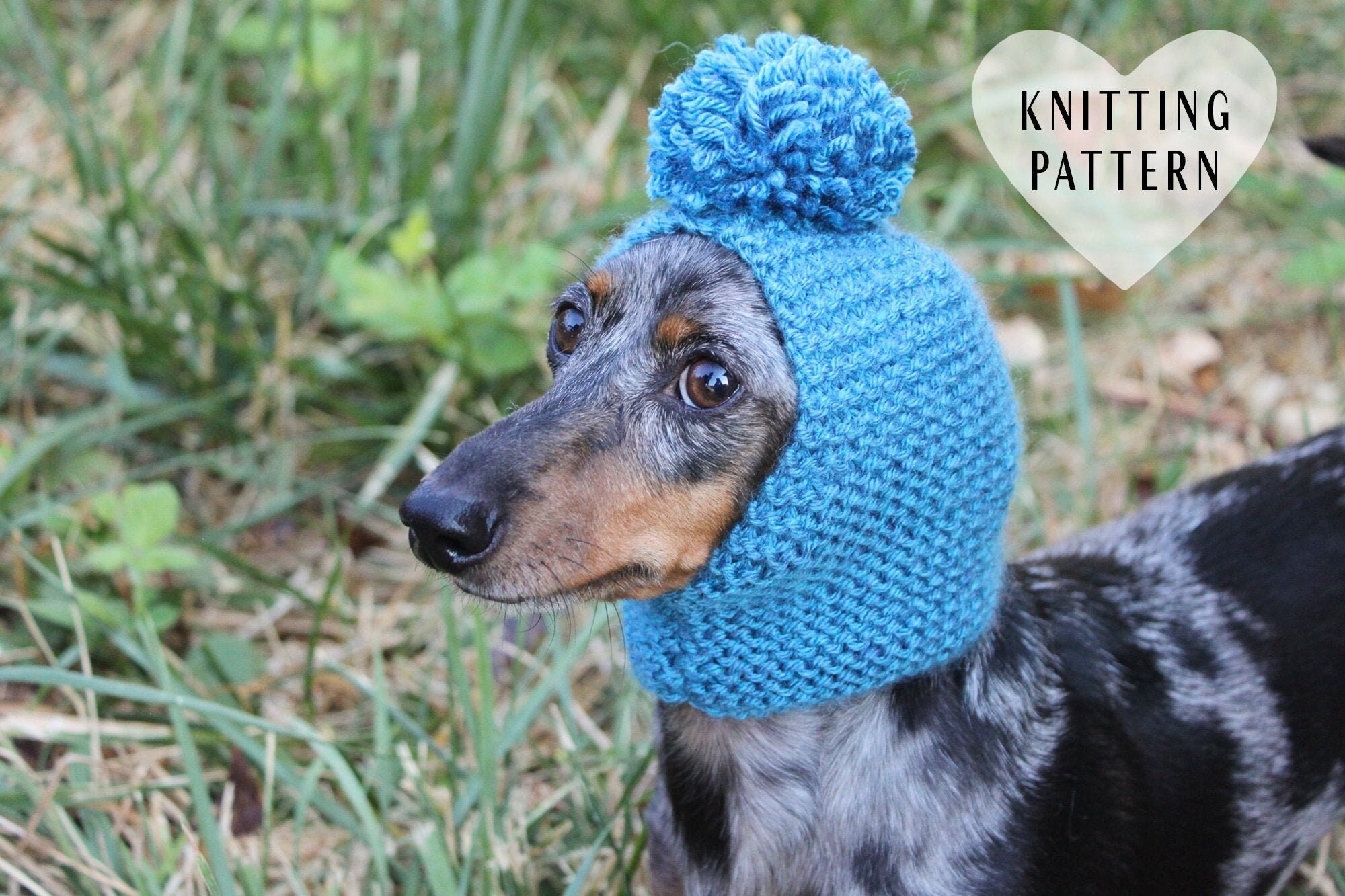 KNITTING PATTERN Beginner Level Garter Stitch Small Dog Hat PDF Knitting Instructions Etsy Canada