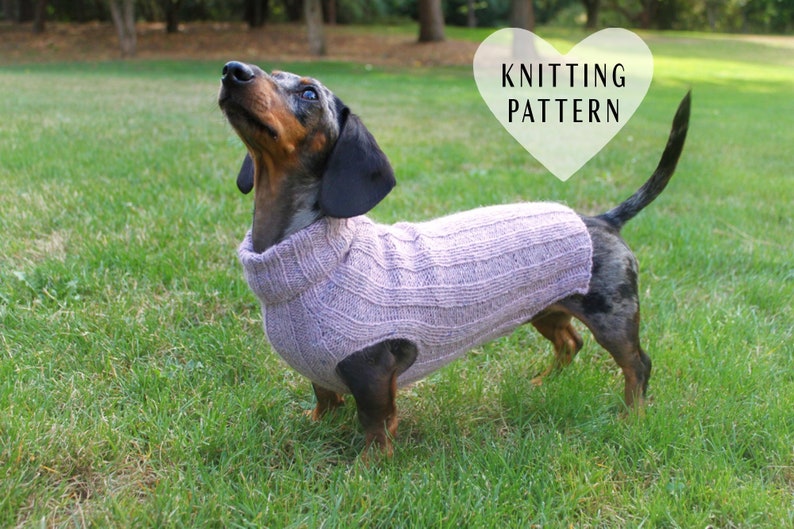 KNITTING PATTERN, Top-Down, Mini Dachshund, Dog Sweater, pet clothes, dogs, little dog, DIY project, knit, knitted, doxie, wiener dog, pets image 1