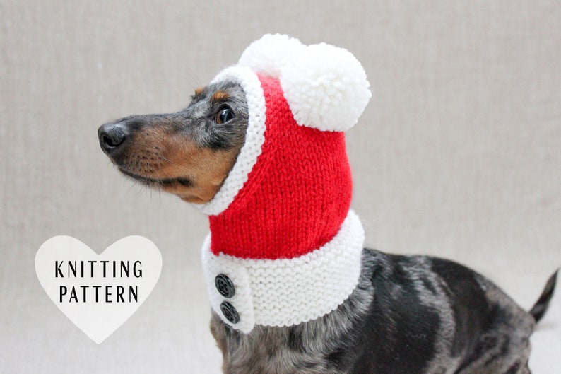 Santa Dog Hat, Dog Santa, Mini Dachshund Santa Hat, Red And White Dog Hat, Dog Gift, Dog Fashion, Dachshund Clothes, Small Dog Beanie image 1