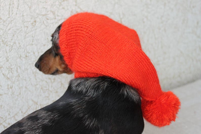 KNITTING PATTERN, Dog Hat, Dachshund Hat, Pet Clothes, Pet Hat, Wiener Dog, Dogs, Knitted Hat, Knit pet hat, Shibui Silk Cloud, Pom-pom image 5