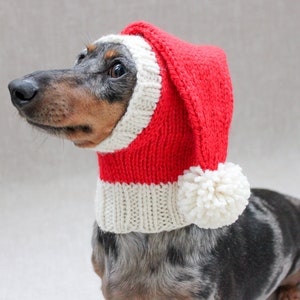 May include: A dachshund wearing a red and white knitted Santa hat with a white pom-pom.