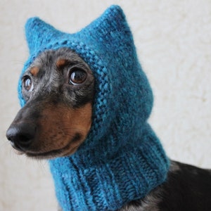 Small Dog Hat in Blue Kitty Cat Style for Mini Dachshund image 1