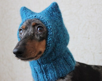 Small Dog Hat in Blue Kitty Cat Style for Mini Dachshund