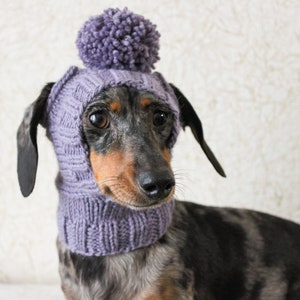 KNITTING PATTERN, Mini Dachshund Dog Hat, Small Dog Hat, Knitted Dog Hat, Dog Clothes, Dog Fashion, Dog Gift, Pet Lover Gift, Wiener Dog Hat image 3