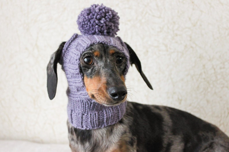 KNITTING PATTERN, Mini Dachshund Dog Hat, Small Dog Hat, Knitted Dog Hat, Dog Clothes, Dog Fashion, Dog Gift, Pet Lover Gift, Wiener Dog Hat image 3