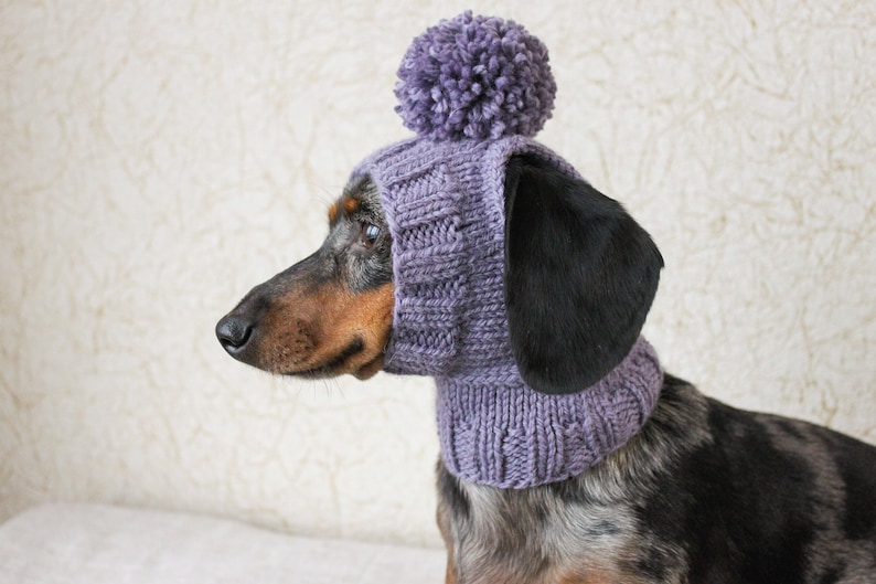 KNITTING PATTERN, Mini Dachshund Dog Hat, Small Dog Hat, Knitted Dog Hat, Dog Clothes, Dog Fashion, Dog Gift, Pet Lover Gift, Wiener Dog Hat image 2