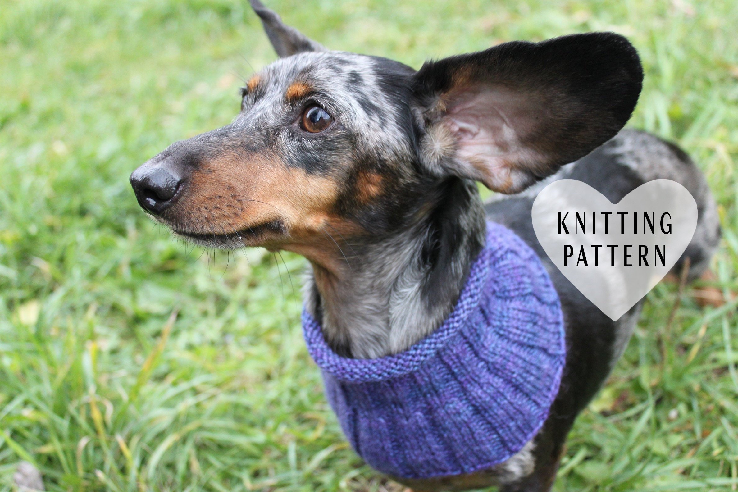 KNITTING PATTERN Small Dog Cowl Neck Warmer Knitted Dog Etsy