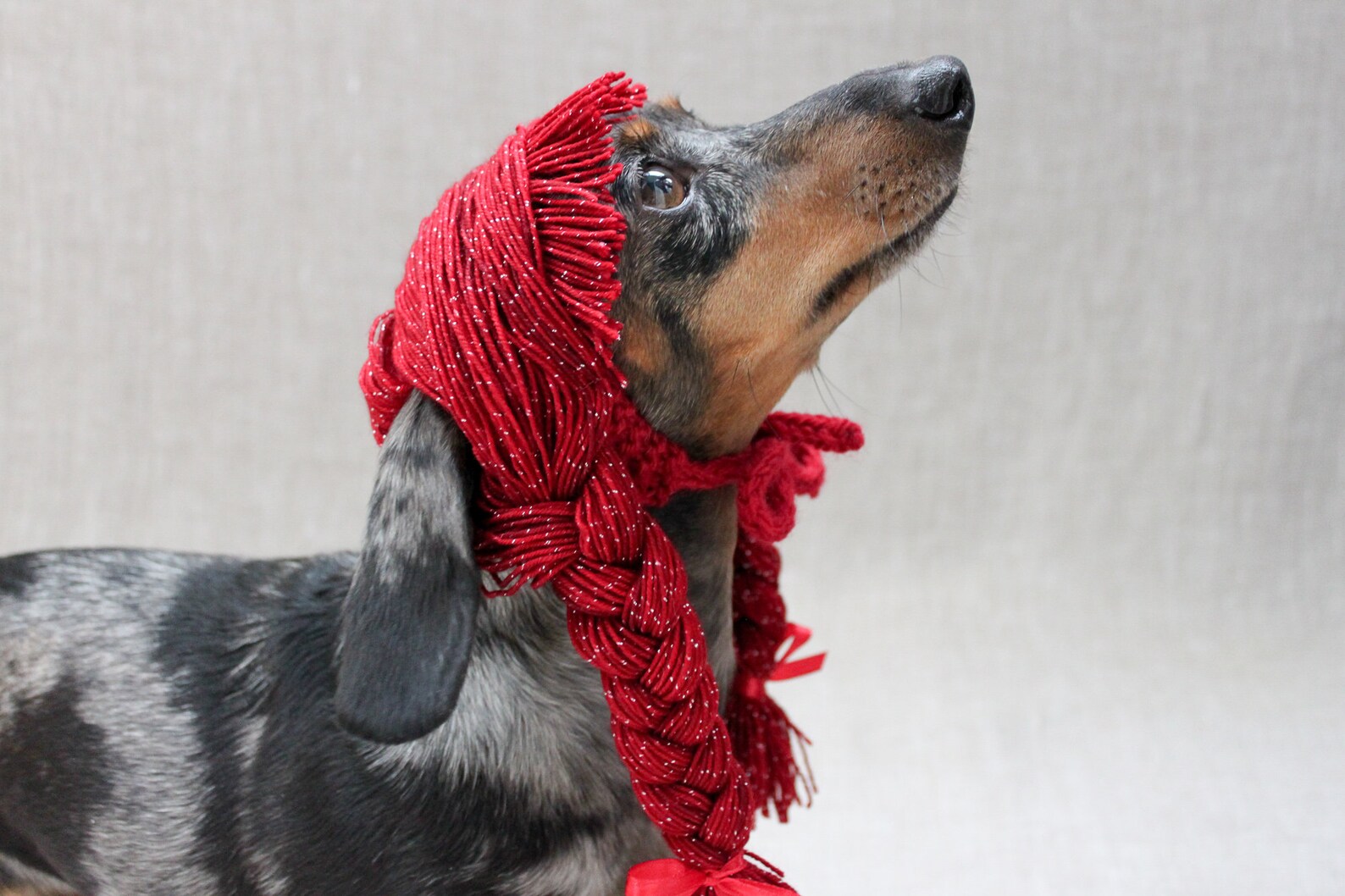 KNITTING PATTERN Dog Yarn Wig Braided Dog Wig Dog Hair Etsy