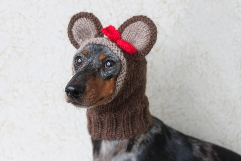 KNITTING PATTERN, Teddy Bear Dog Hat, Small Dog Bear Hat, Bear Hoodie, Bear Hood, Teddy Bear Dog Costume, Dachshund Hat, knit Doxie Hoodie image 5