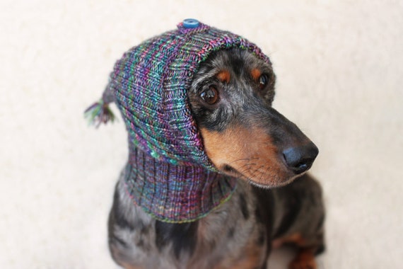KNITTING PATTERN Small Dog Hat Mini Dachshund Hat Pet Hat Etsy Extraordinary Dog Hat Knitting Pattern KNITTING PATTERN Small Dog Hat Mini Dachshund Hat Pet Hat Etsy Extraordinary Dog Hat Knitting Pattern
