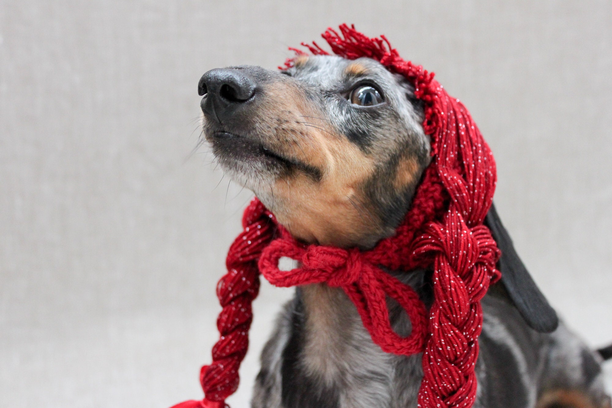 KNITTING PATTERN Dog Yarn Wig Braided Dog Wig Dog Hair Etsy