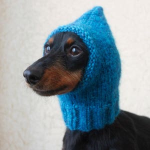 May include: A black and brown dachshund wearing a blue knitted hat with a pointed hood.