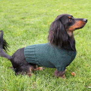 KNITTING PATTERN, Mini Dachshund, Dog Sweater, Cloud 9, pet clothes, pets, dogs, knit, knitted, DIY project, doxie, wiener dog, little dog image 5