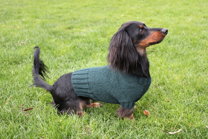 KNITTING PATTERN, Mini Dachshund, Dog Sweater, Cloud 9, pet clothes, pets, dogs, knit, knitted, DIY project, doxie, wiener dog, little dog image 5