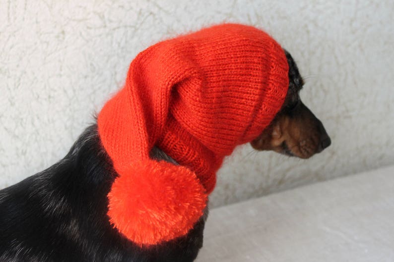 KNITTING PATTERN, Dog Hat, Dachshund Hat, Pet Clothes, Pet Hat, Wiener Dog, Dogs, Knitted Hat, Knit pet hat, Shibui Silk Cloud, Pom-pom image 4