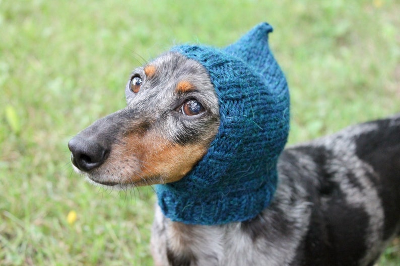 Dog Hat in Dark Turquoise Made Out of All Natural Alpaca Yarn image 1