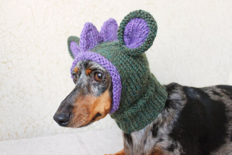 KNITTING PATTERN, Doxie Dinosaur Hat, Dog Hat, Small Dog Hat, Snood, Mini Dachshund Hat, Dino Hat, Dog Costume, Knitted Hat, Knit Pet Hat image 7