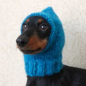 May include: A black and brown dachshund wearing a blue knitted hooded sweater.