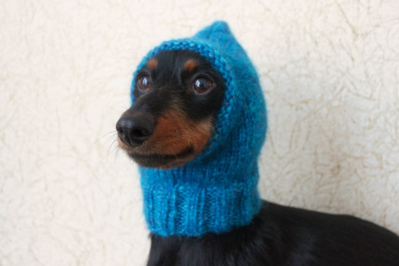 KNITTING PATTERN Small Dog Hat Mini Dachshund Hat Pet Etsy