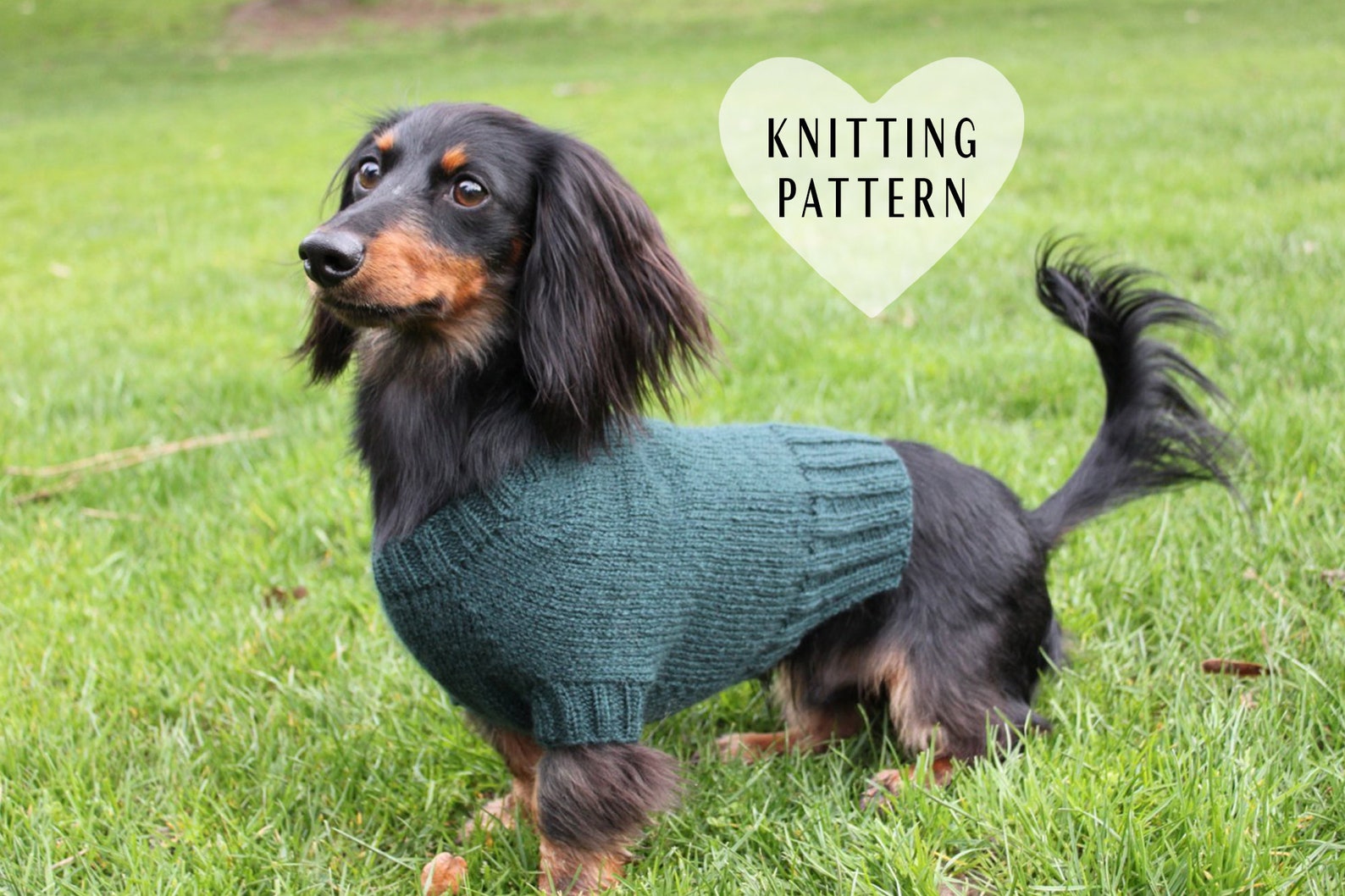 KNITTING PATTERN Mini Dachshund Dog Sweater Cloud 9 Pet Etsy