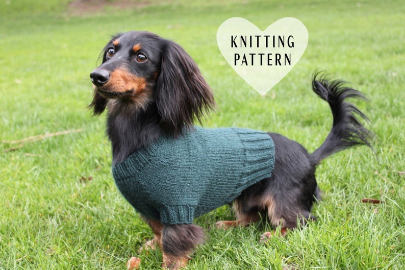 KNITTING PATTERN, Mini Dachshund, Dog Sweater, Cloud 9, pet clothes, pets, dogs, knit, knitted, DIY project, doxie, wiener dog, little dog image 1