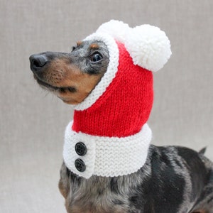 Santa Dog Hat, Dog Santa, Mini Dachshund Santa Hat, Red And White Dog Hat, Dog Gift, Dog Fashion, Dachshund Clothes, Small Dog Beanie image 3