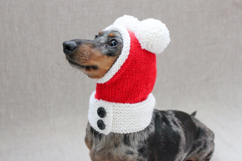 Santa Dog Hat, Dog Santa, Mini Dachshund Santa Hat, Red And White Dog Hat, Dog Gift, Dog Fashion, Dachshund Clothes, Small Dog Beanie image 3