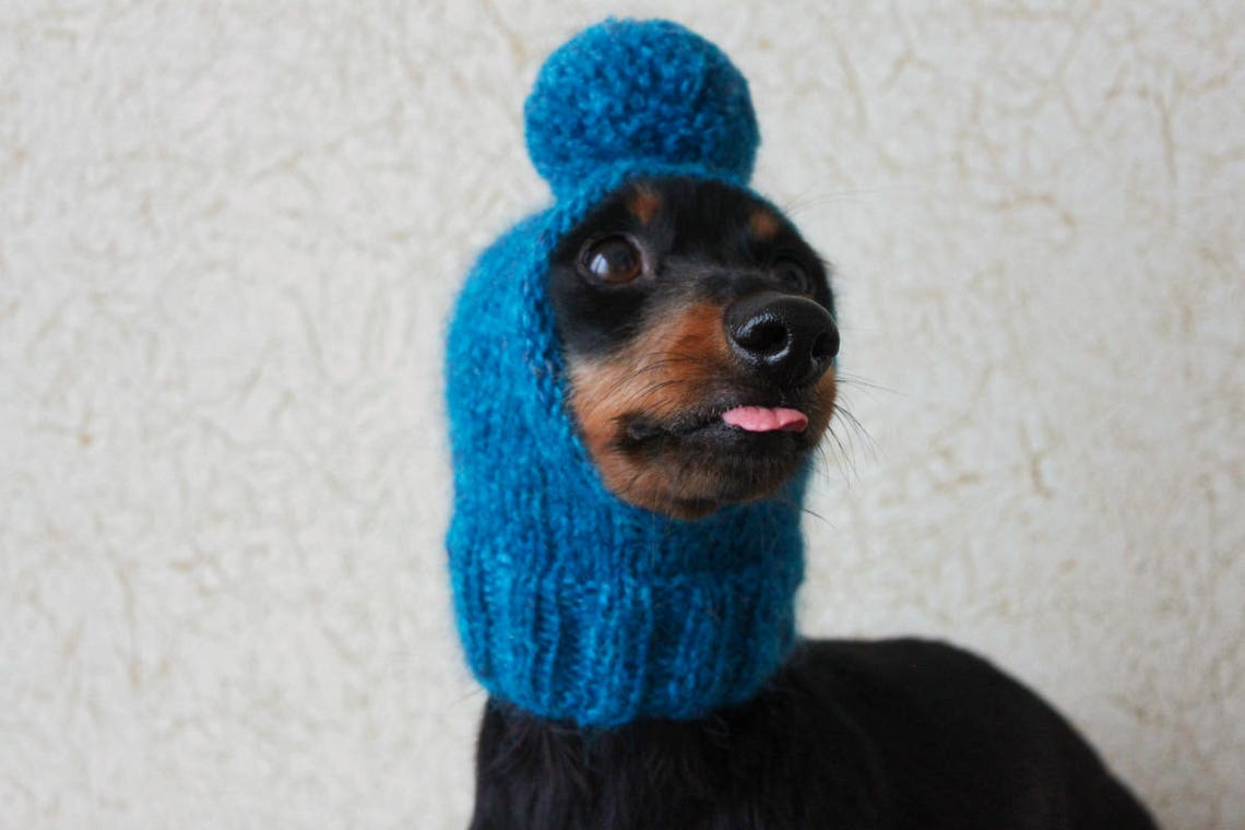KNITTING PATTERN Pompom Dog Hat Mini Dachshund Dog Hat Etsy UK