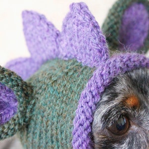 KNITTING PATTERN, Doxie Dinosaur Hat, Dog Hat, Small Dog Hat, Snood, Mini Dachshund Hat, Dino Hat, Dog Costume, Knitted Hat, Knit Pet Hat image 3