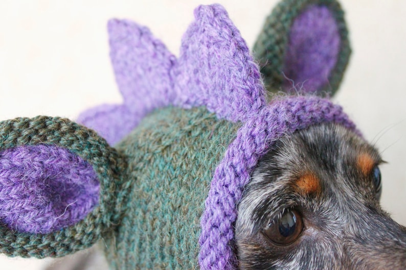 KNITTING PATTERN, Doxie Dinosaur Hat, Dog Hat, Small Dog Hat, Snood, Mini Dachshund Hat, Dino Hat, Dog Costume, Knitted Hat, Knit Pet Hat image 3