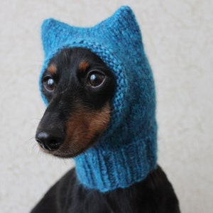 Small Dog Hat in Blue Kitty Cat Style for Mini Dachshund image 9